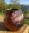 Raku Splash