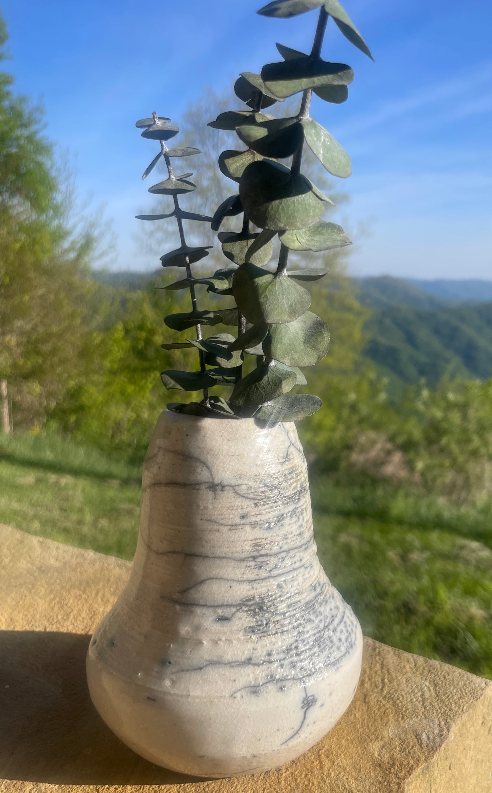 Raku Splash